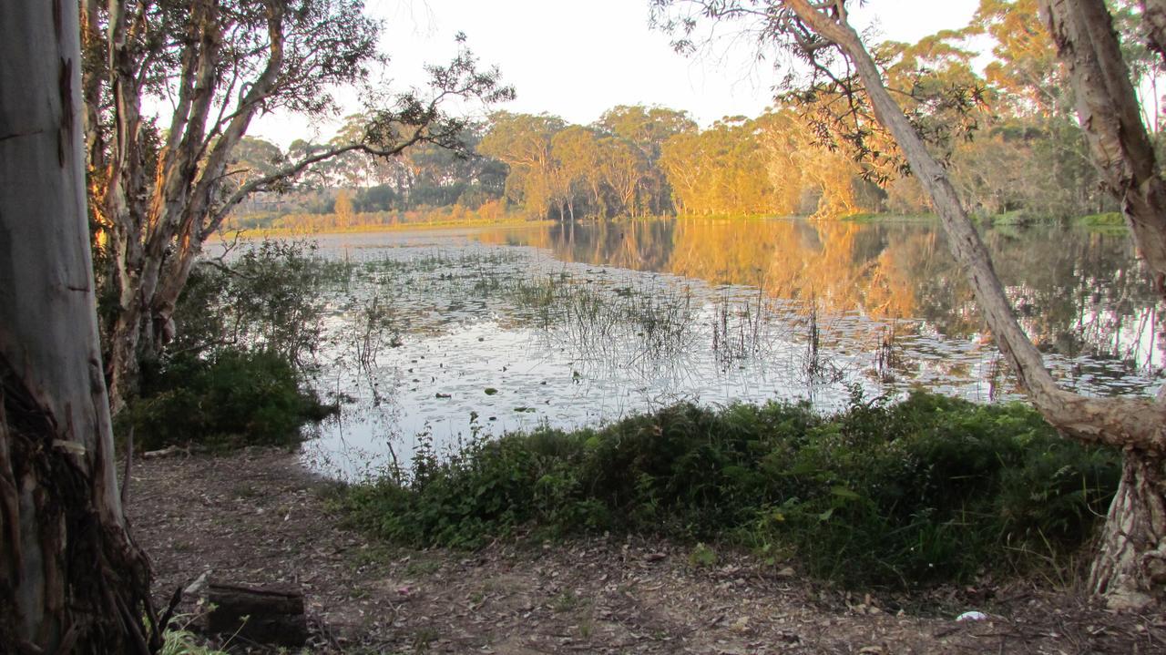 Lake Russell Retreat Емералд Бийч Екстериор снимка